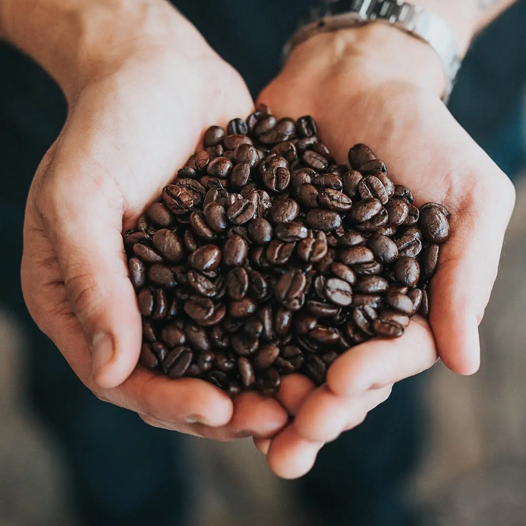 Fresh Beans 1kg